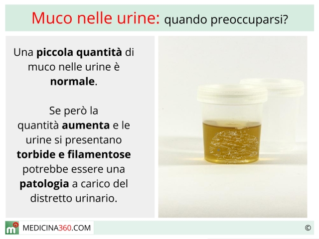 come eliminare il muco nelle urine