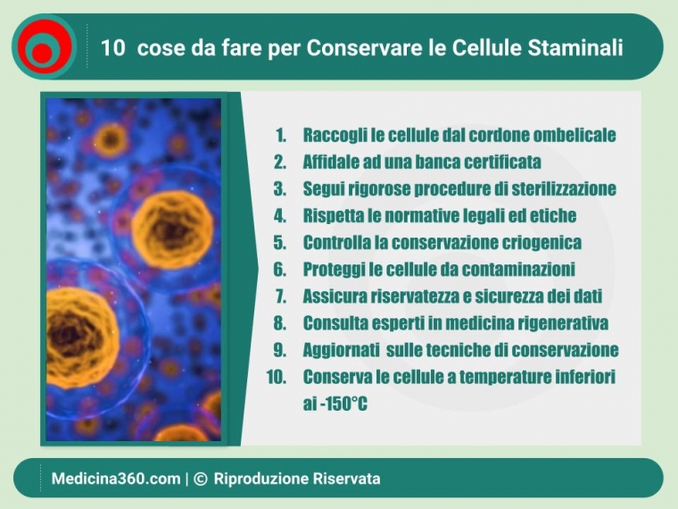 Guida completa alla conservazione delle cellule staminali