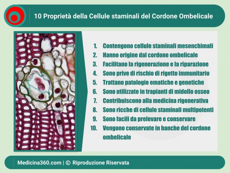 Cellule Staminali del Cordone Ombelicale: Guida Completa e Aggiornata