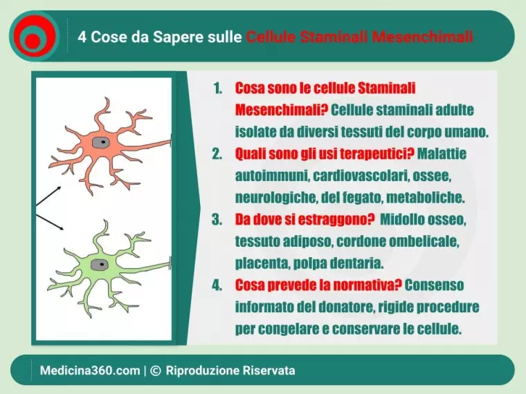 Cellule Staminali Mesenchimali: Potenziale Terapeutico e Controversie Etiche