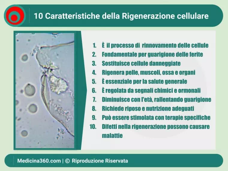 Rigenerazione Cellulare: Un Percorso Verso il Futuro della Salute Umana