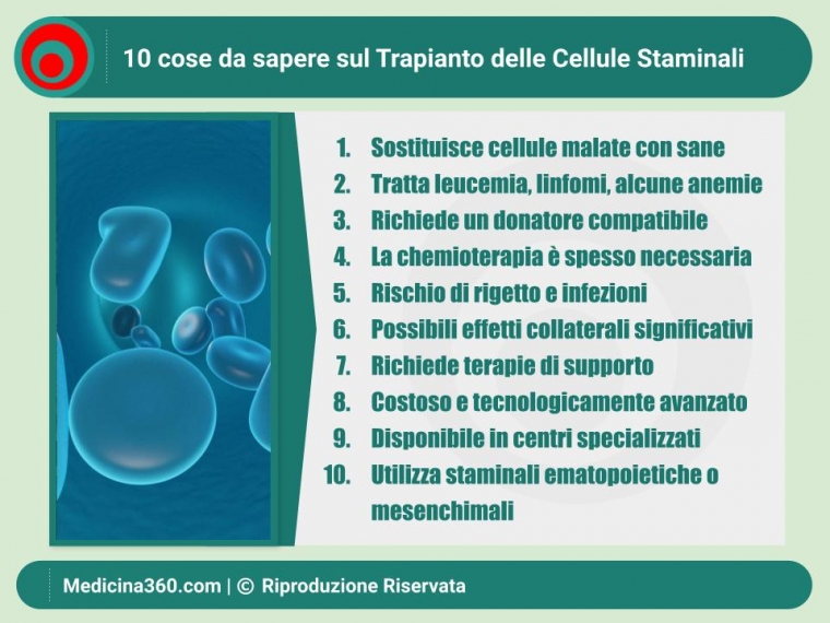 Trapianto di Cellule Staminali: Una Guida Completa e Dettagliata 