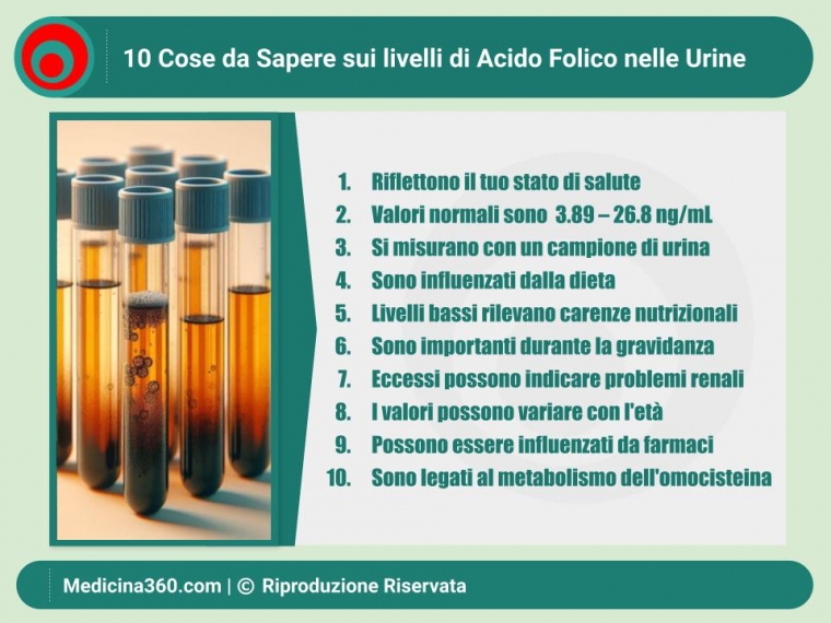 Acido Folico nelle Urine: Valori, Significati e Guida Completa