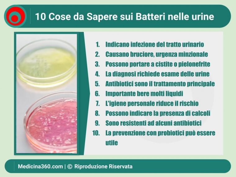 Batteri nelle Urine: Tutto ciò che Devi Sapere per Capire, Diagnostica e Cura