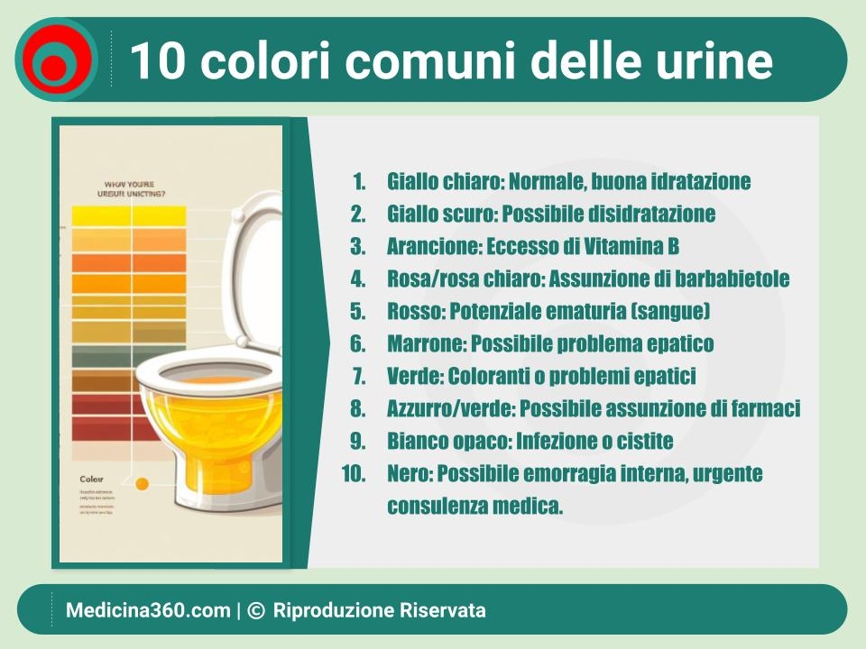 Colore delle Urine: Guida Completa per Capire Cosa Indica - Sintomi e Diagnosi