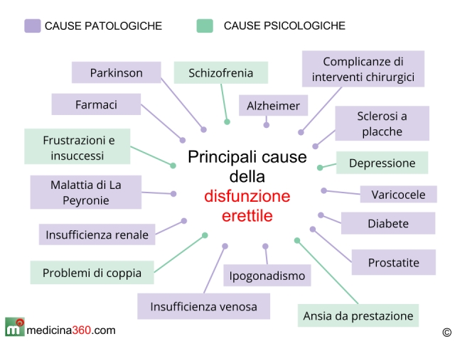 www.medicina360.com