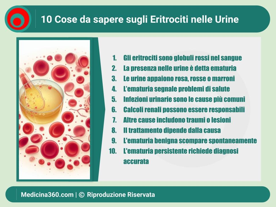 Eritrociti nelle Urine: Cosa Devi Sapere - Guida Completa