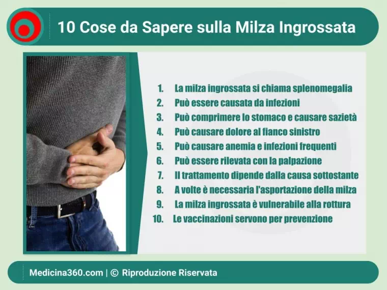 Milza ingrossata: cause, sintomi, diagnosi e trattamenti