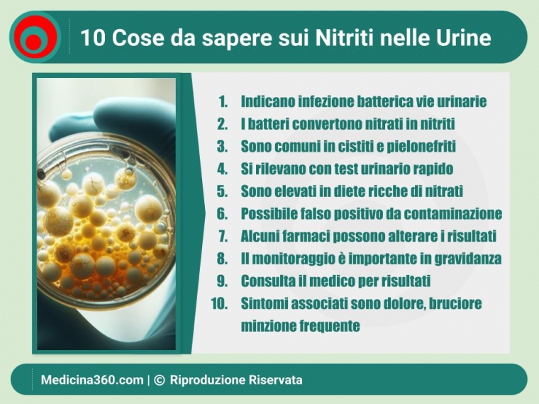 Nitriti nelle Urine: Cosa Significano, Come Rilevarli e Cosa Fare